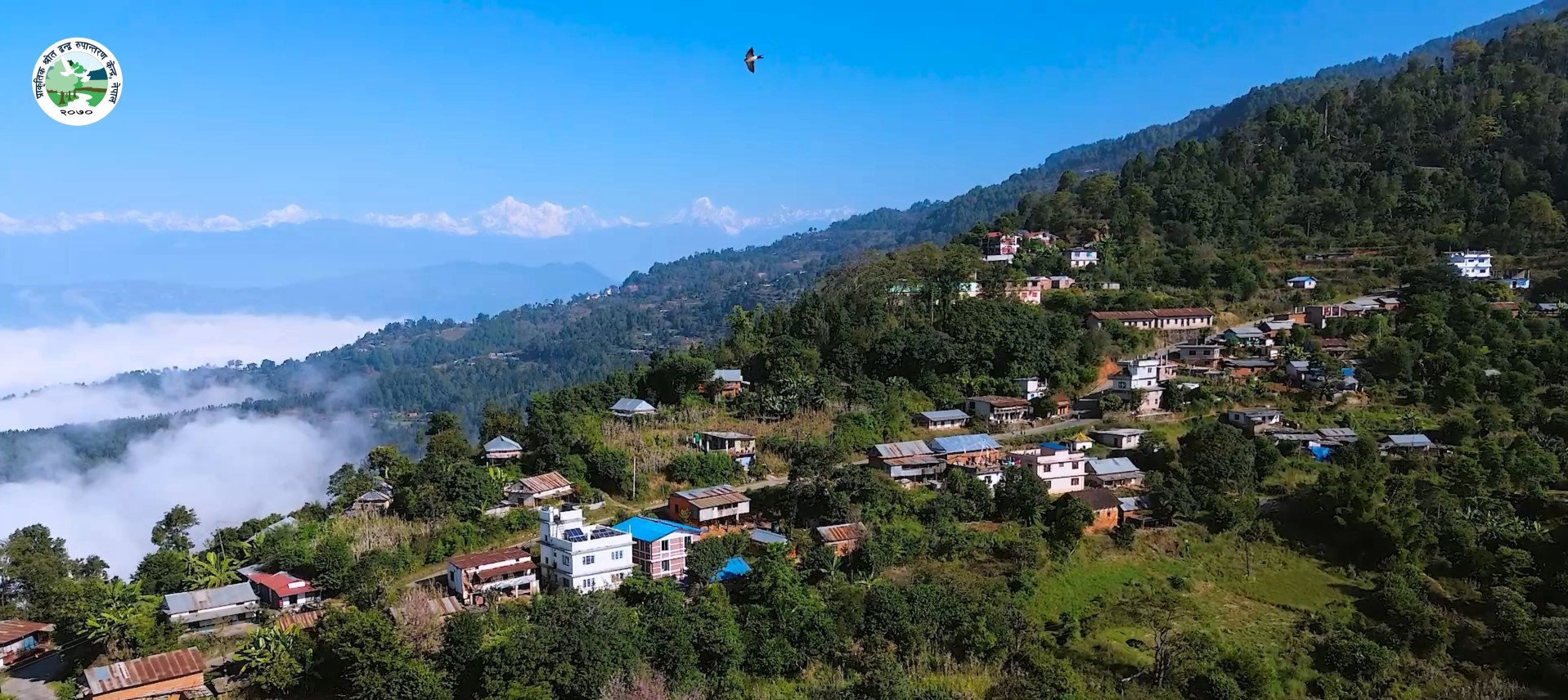 पाँच दशक पछिको खुसी